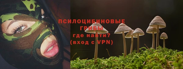 jwh Бородино