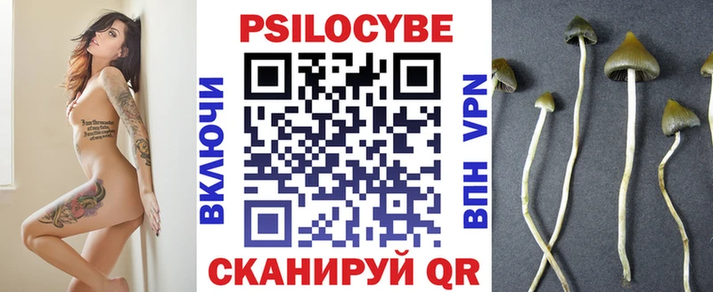 mega сайт  Гусев  Псилоцибиновые грибы GOLDEN TEACHER 